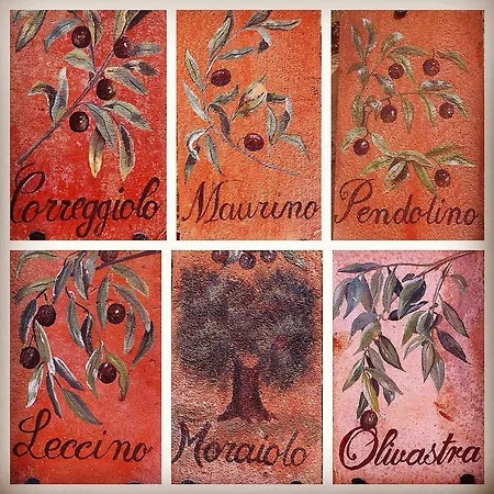 Agroturismo Borgo Sant'ambrogio - *