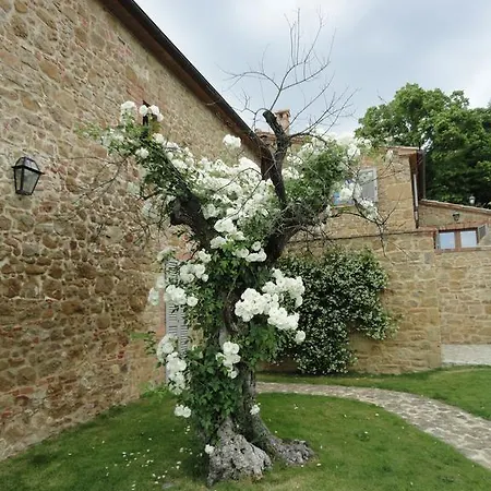 Borgo Sant'ambrogio - * Pienza