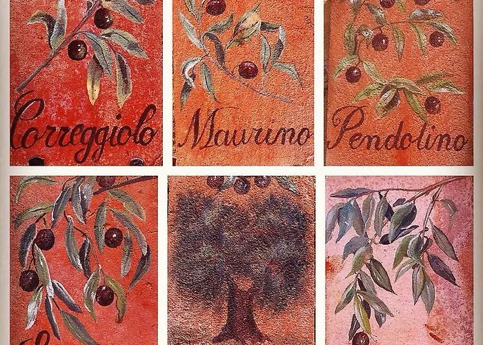 Vakantieboerderij Borgo Sant'ambrogio - *