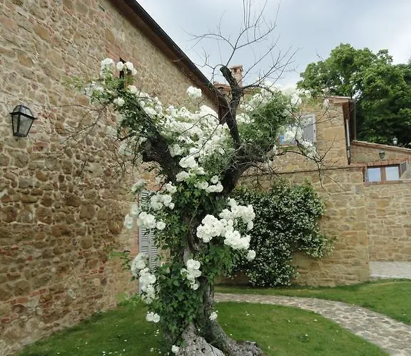 Borgo Sant'ambrogio - * Pienza